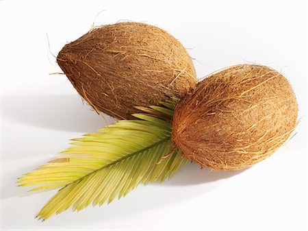 simsearch:659-03521886,k - Two coconuts Stock Photo - Premium Royalty-Free, Code: 659-03521886