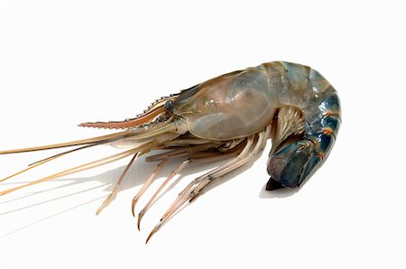 A prawn Stock Photo - Premium Royalty-Free, Code: 659-03522603