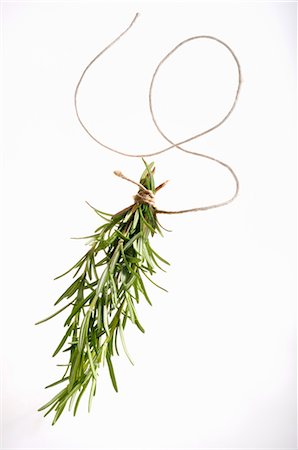 rosemary white background - A bunch of rosemary Stock Photo - Premium Royalty-Free, Code: 659-03522671