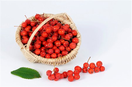 Rowan berries in a small basket Stock Photo - Premium Royalty-Free, Code: 659-03522891