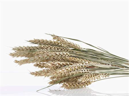 simsearch:659-06155440,k - Ears of wheat Foto de stock - Sin royalties Premium, Código: 659-03522924