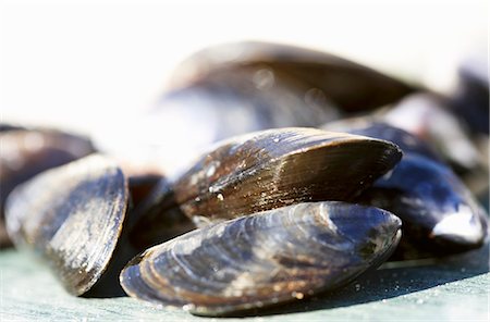 Mussels Stock Photo - Premium Royalty-Free, Code: 659-03522994