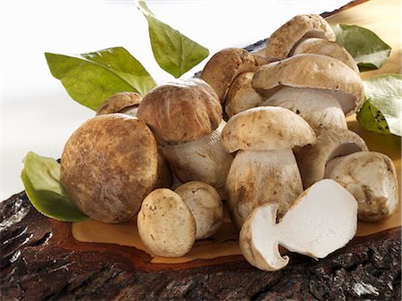 CEPS, nature morte Photographie de stock - Premium Libres de Droits, Code: 659-03523026