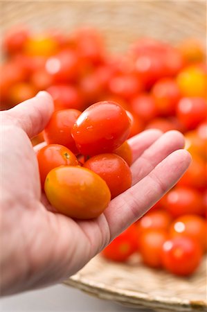 simsearch:659-01848974,k - Hand holding fresh cocktail tomatoes Foto de stock - Royalty Free Premium, Número: 659-03523174