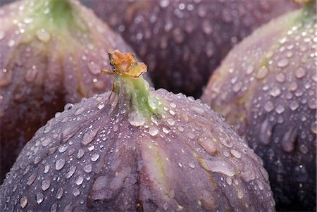 fig - Fresh figs with drops of water Stock Photo - Premium Royalty-Free, Code: 659-03523208