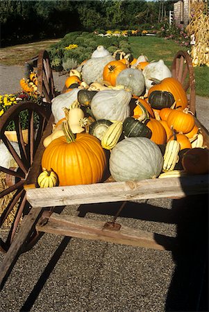 pumpkin still - Autumn Wagon Full of Pumpkins and Squash Stock Photo - Premium Royalty-Free, Code: 659-03523233