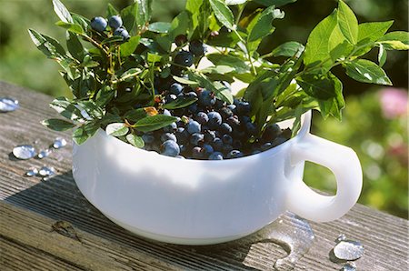 simsearch:659-06154319,k - Fresh Picked Wild Maine Blueberries in a Handled Bowl Foto de stock - Sin royalties Premium, Código: 659-03523276
