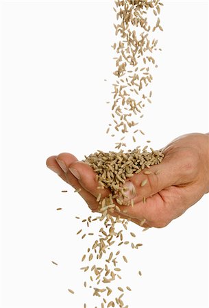 rye (grain) - Someone pouring rye into their hand Stock Photo - Premium Royalty-Free, Code: 659-03523344
