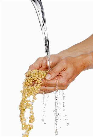 simsearch:659-06151471,k - Someone holding two hands full of soya beans under running water Stock Photo - Premium Royalty-Free, Code: 659-03523348