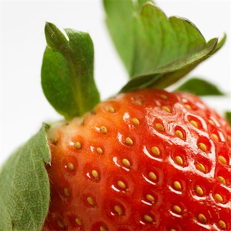 simsearch:659-01866279,k - A strawberry, detail Stock Photo - Premium Royalty-Free, Code: 659-03523645