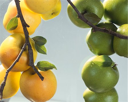 Yellow and green apples Foto de stock - Sin royalties Premium, Código: 659-03534354