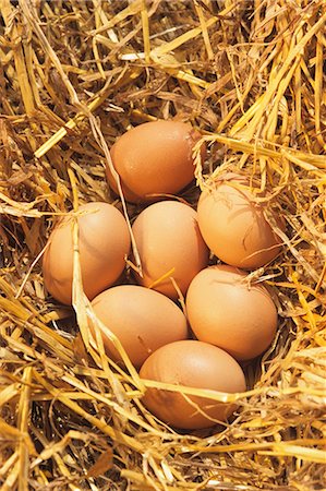 egg still life - Seven brown eggs in straw Stock Photo - Premium Royalty-Free, Code: 659-03534425