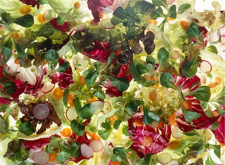 simsearch:659-01842582,k - Mixed salad leaves, slices of radish and carrot Foto de stock - Sin royalties Premium, Código: 659-03534621