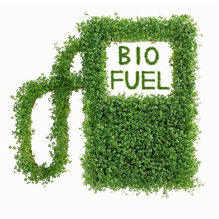 simsearch:659-03536702,k - Image symbolising biofuel (n cress) Stock Photo - Premium Royalty-Free, Code: 659-03534972