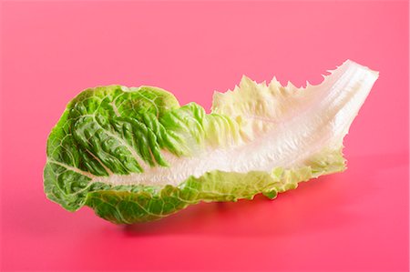 romaine lettuce leaf - A romaine lettuce leaf Stock Photo - Premium Royalty-Free, Code: 659-03535178