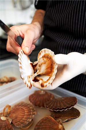 Opening scallops Foto de stock - Sin royalties Premium, Código: 659-03535235