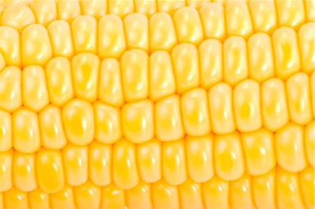 Corn on the cob (full-frame) Stock Photo - Premium Royalty-Free, Code: 659-03535481