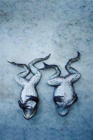 placa de mármol - Two Whole Frogs on Marble Foto de stock - Sin royalties Premium, Código: 659-03535569