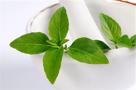 Fresh Thai basil in mortar Stock Photo - Premium Royalty-Free, Code: 659-03535572