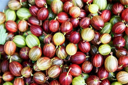 Gooseberries Foto de stock - Sin royalties Premium, Código: 659-03535839