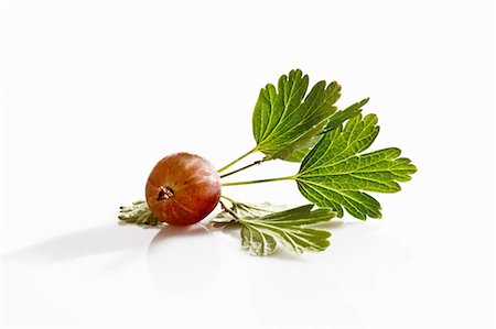 Red gooseberry with leaves Foto de stock - Sin royalties Premium, Código: 659-03536003