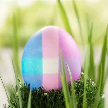 simsearch:659-06307396,k - Multi-Colored Easter Egg on Moss Foto de stock - Sin royalties Premium, Código: 659-03536213