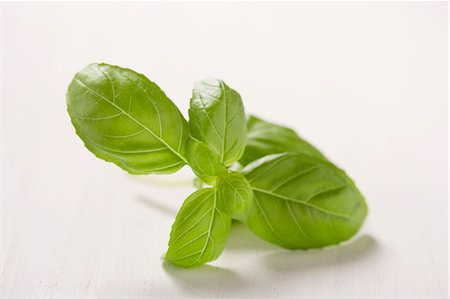 Basil leaves Foto de stock - Sin royalties Premium, Código: 659-03536276