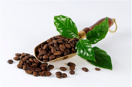 Grains de café dans un scoop Photographie de stock - Premium Libres de Droits, Code: 659-03536314