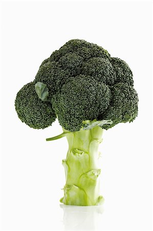 A head of broccoli Stock Photo - Premium Royalty-Free, Code: 659-03536529