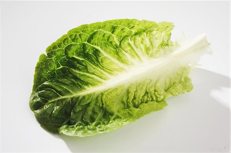salad leaf - Lettuce leaf Stock Photo - Premium Royalty-Free, Code: 659-03536793
