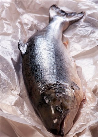 salmon - Whole fresh salmon on paper Stock Photo - Premium Royalty-Free, Code: 659-03536808
