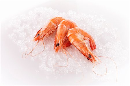 Three steamed prawns on ice Stock Photo - Premium Royalty-Free, Code: 659-03536832