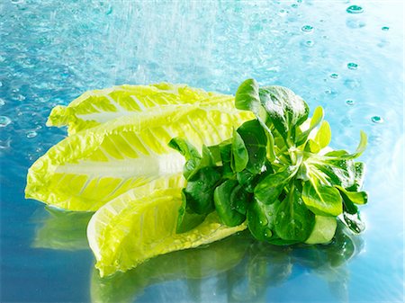 romaine - Corn salad and romaine lettuce with water Stock Photo - Premium Royalty-Free, Code: 659-03536907