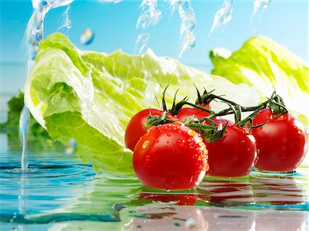 simsearch:659-06153319,k - Tomatoes and romaine lettuce with water Foto de stock - Royalty Free Premium, Número: 659-03536911