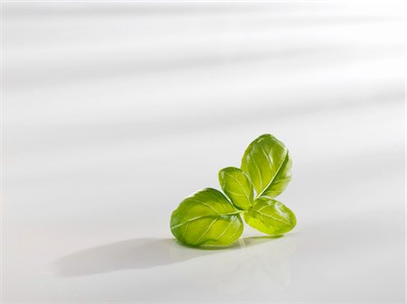 Basil leaves Foto de stock - Sin royalties Premium, Código: 659-03537644