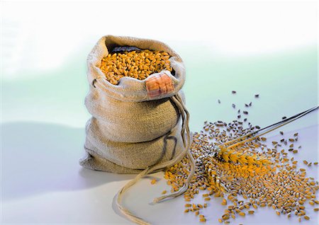 saco - Grains of wheat, in and beside sack Foto de stock - Sin royalties Premium, Código: 659-03530140