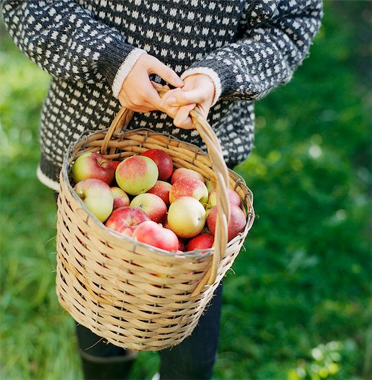 Woman carrying a basket of apples Stock Photo - Premium Royalty-Free, Image code: 659-03530302