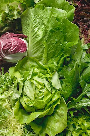 radicchio - Various lettuces and salad vegetables (full-frame) Stock Photo - Premium Royalty-Free, Code: 659-03530319