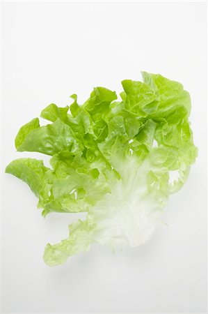 salad ingredient - A lettuce leaf Stock Photo - Premium Royalty-Free, Code: 659-03530324