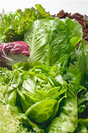 simsearch:659-06151105,k - Various lettuces and salad vegetables (detail) Stock Photo - Premium Royalty-Free, Code: 659-03530321