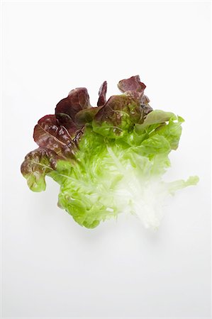 A lettuce leaf Stock Photo - Premium Royalty-Free, Code: 659-03530323