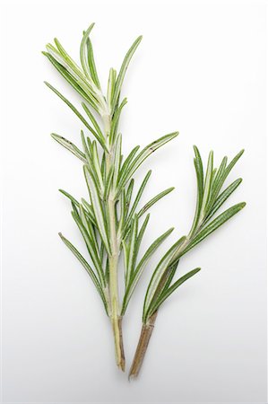 simsearch:659-01842314,k - Two sprigs of rosemary Stock Photo - Premium Royalty-Free, Code: 659-03530394