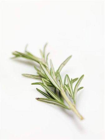 rosemary sprig - A sprig of rosemary Stock Photo - Premium Royalty-Free, Code: 659-03530460