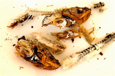 Fish bones on plate Stock Photo - Premium Royalty-Free, Code: 659-03530993