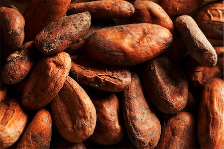 Cocoa beans (close-up) Foto de stock - Sin royalties Premium, Código: 659-03531313