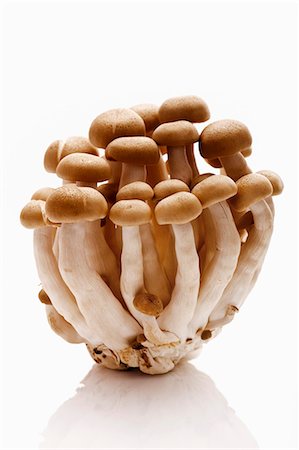 simsearch:659-03537806,k - Shimeji mushrooms Foto de stock - Royalty Free Premium, Número: 659-03531491