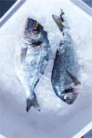 Two fresh sea bream on ice Foto de stock - Sin royalties Premium, Código: 659-03531597
