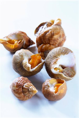 Several fresh sea snails Stock Photo - Premium Royalty-Free, Code: 659-03531603
