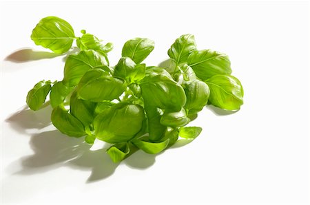 Fresh basil Foto de stock - Sin royalties Premium, Código: 659-03531644