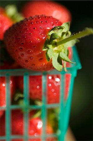 simsearch:659-01866279,k - Fresh Strawberries in Plastic Basket Stock Photo - Premium Royalty-Free, Code: 659-03531714